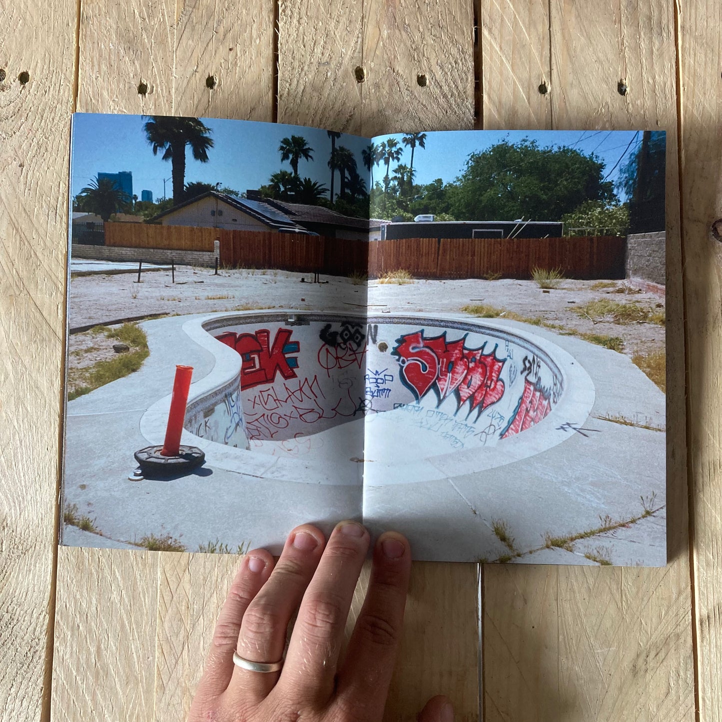 Waylon Jennings Sex Party Zine